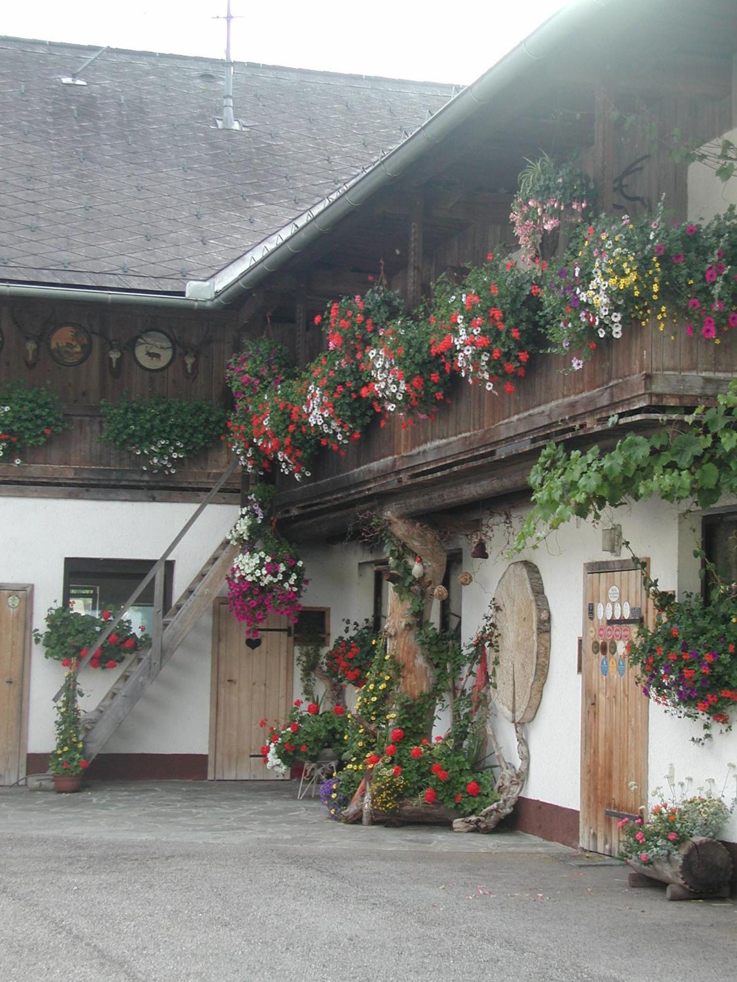 Ferienhof Unterfuehrholzergut Klaus an der Pyhrnbahn 외부 사진